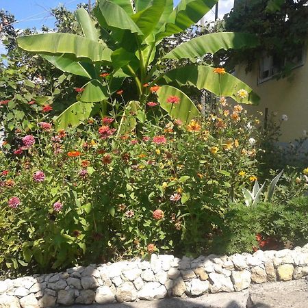 Guesthouse On Kabardinskaya 139A Gagra Esterno foto
