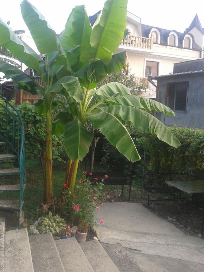 Guesthouse On Kabardinskaya 139A Gagra Esterno foto