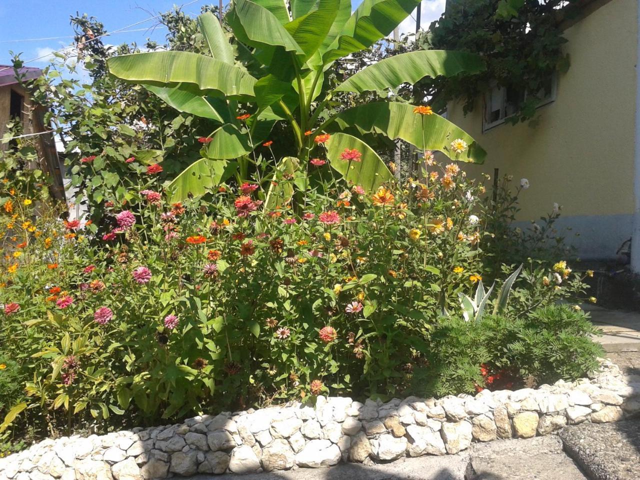 Guesthouse On Kabardinskaya 139A Gagra Esterno foto